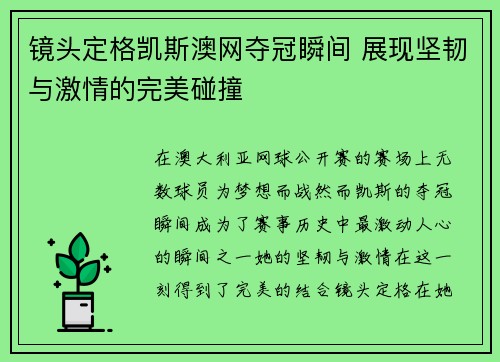 镜头定格凯斯澳网夺冠瞬间 展现坚韧与激情的完美碰撞