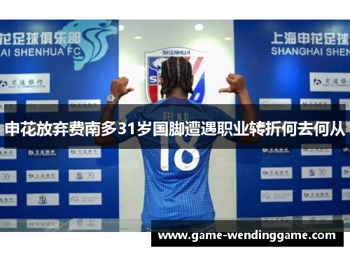 申花放弃费南多31岁国脚遭遇职业转折何去何从