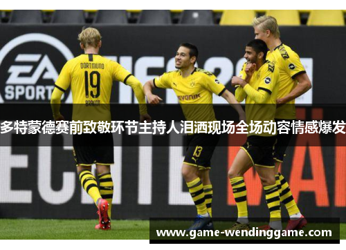 多特蒙德赛前致敬环节主持人泪洒现场全场动容情感爆发