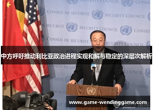 中方呼吁推动利比亚政治进程实现和解与稳定的深层次解析