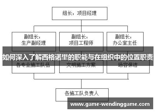 如何深入了解西格诺里的职能与在组织中的位置职责